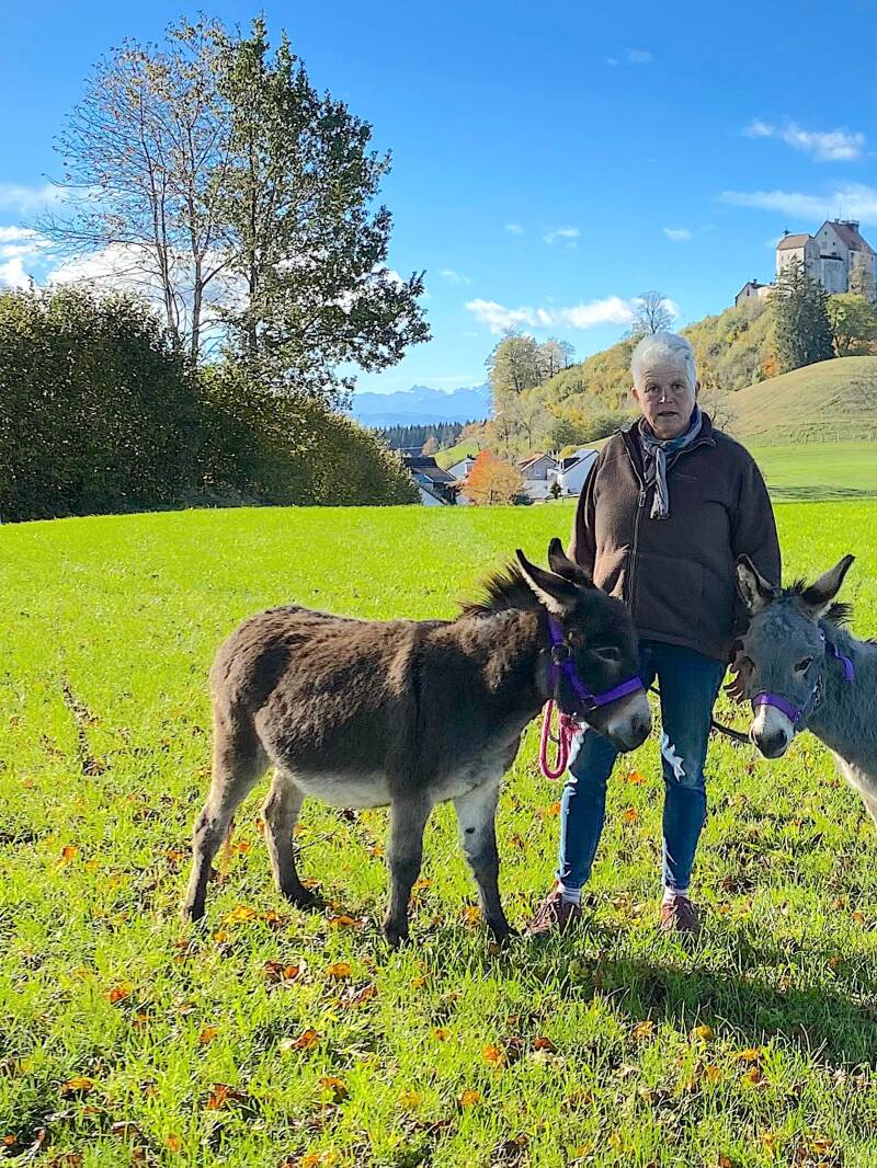 Miniaturesel, Waldburg, Berge, Patenschaft, Wandurng, Abenteuer, Ferienregion Oberschwaben, Allgäu, Bodensee
