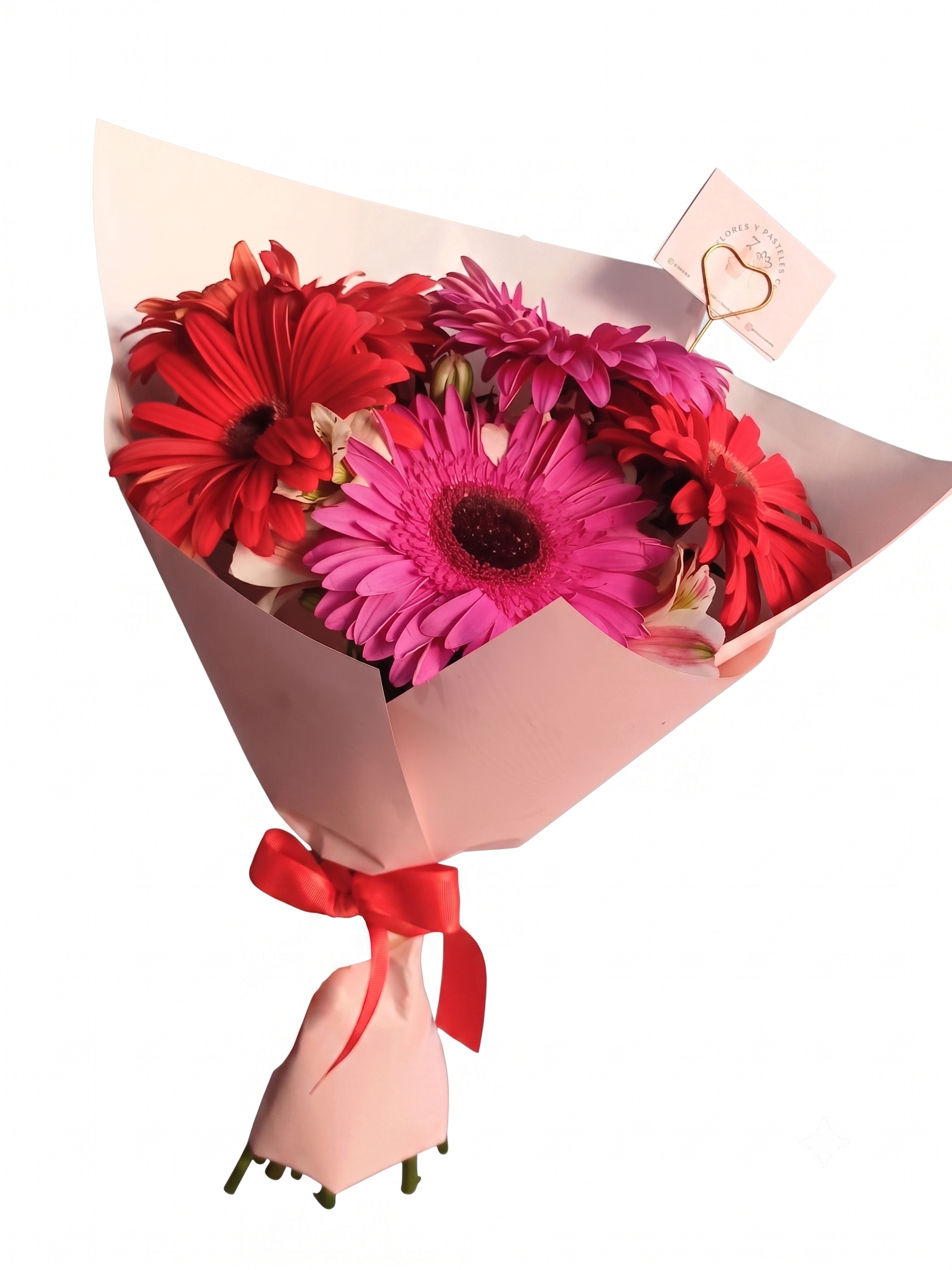 RAMO GERBERAS BICOLOR