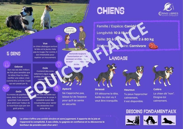 Planche "Chien"