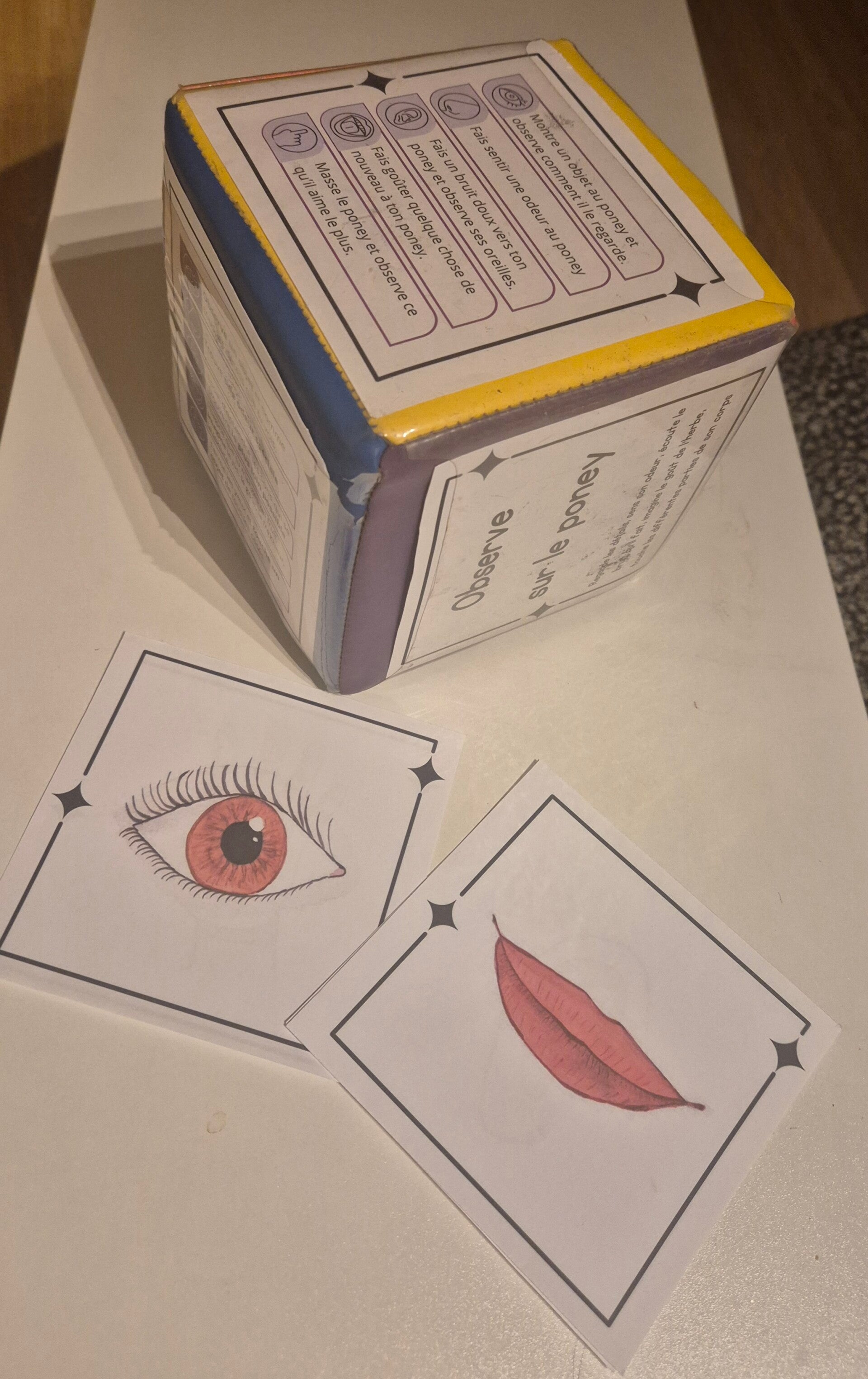 Dé à facette 5 sens - poney