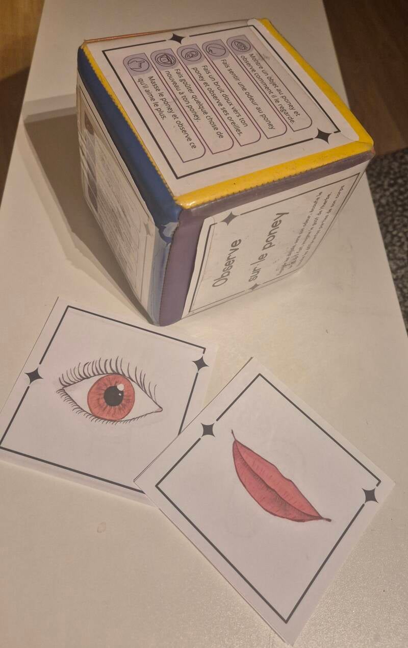 Dé à facette 5 sens - âne