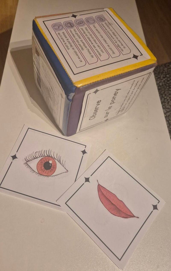 Dé à facette 5 sens - poney