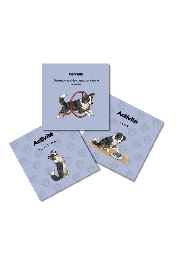 Jeux activités - médiation animale