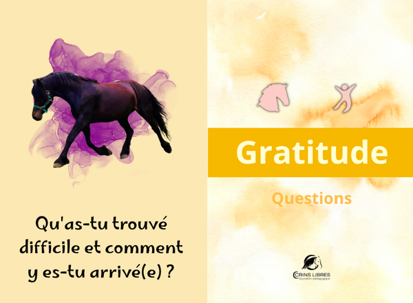 Jeu "gratitude"