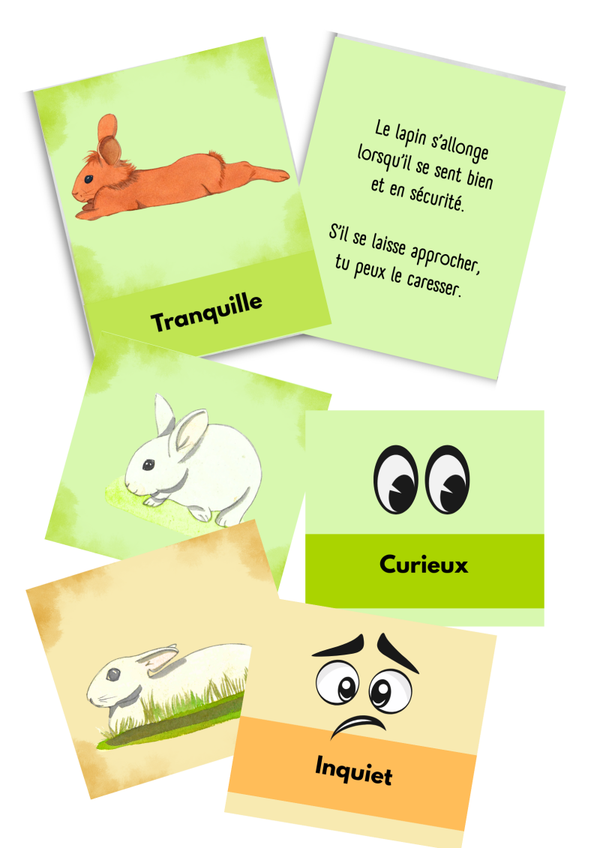 Les humeurs du lapin + mémory