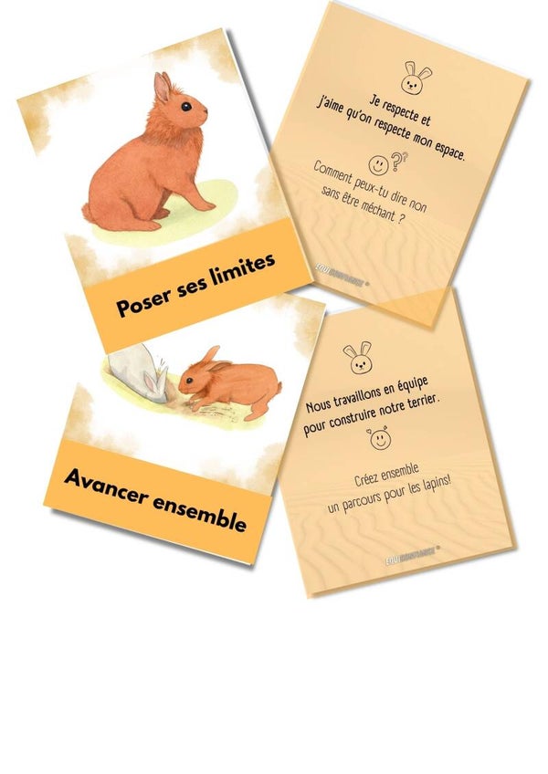 Jeu "vivre ensemble" avec les lapins