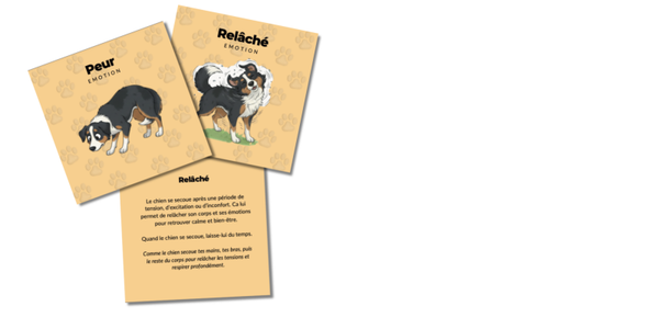 Jeu émotion chien