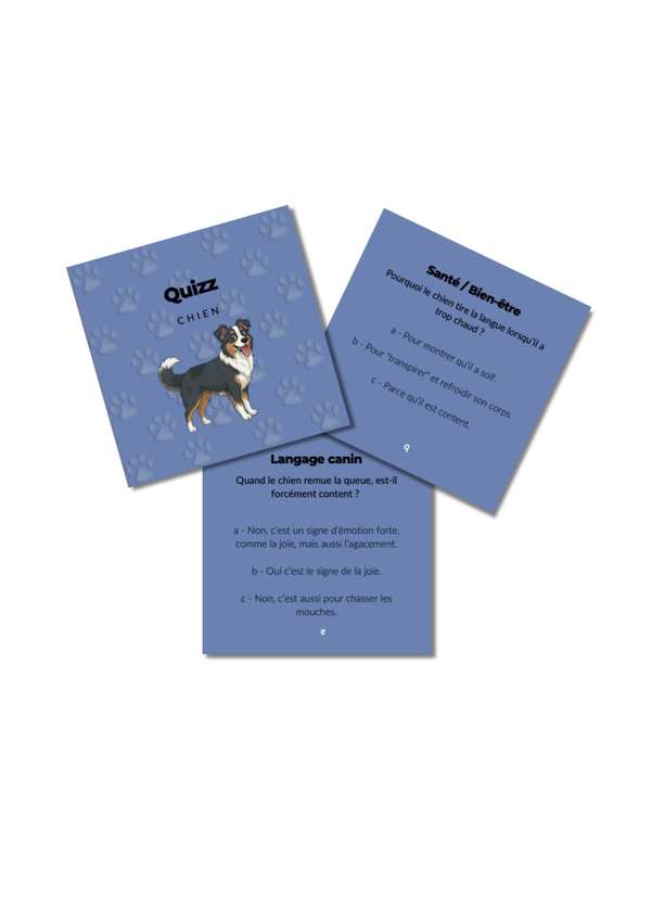 Quizz - langage canin