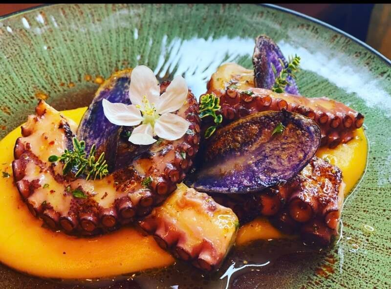 Crispy grilled octopus tentacle served over a colorful gourmet puree, luxury villa private catering.