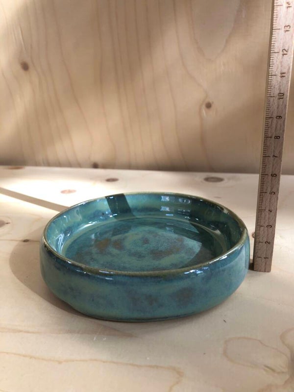 Schaaltje ondiep, groen/lichtbruin