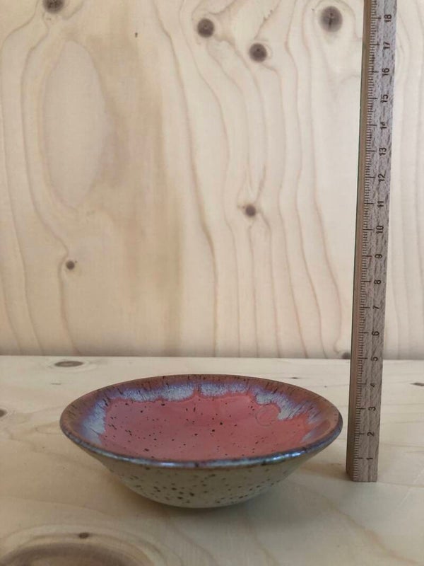 Schaaltje ROZE