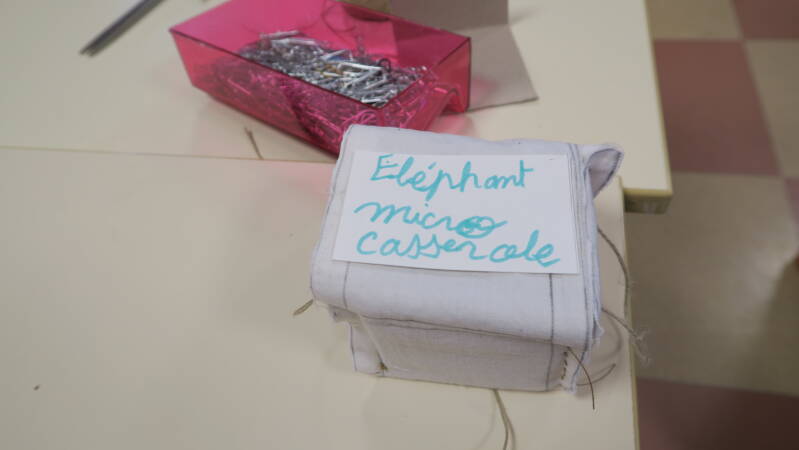 img_4955-standard.jpg