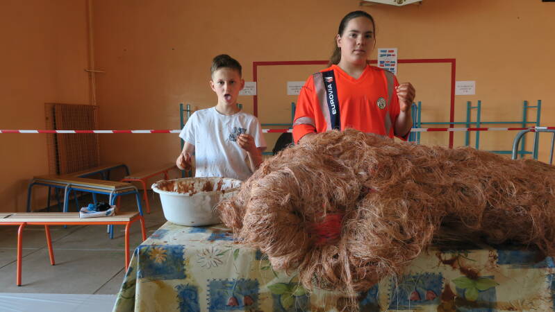 img_5380-standard.jpg