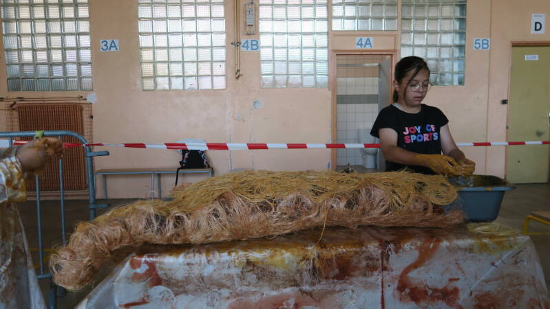 img_5384-standard.jpg