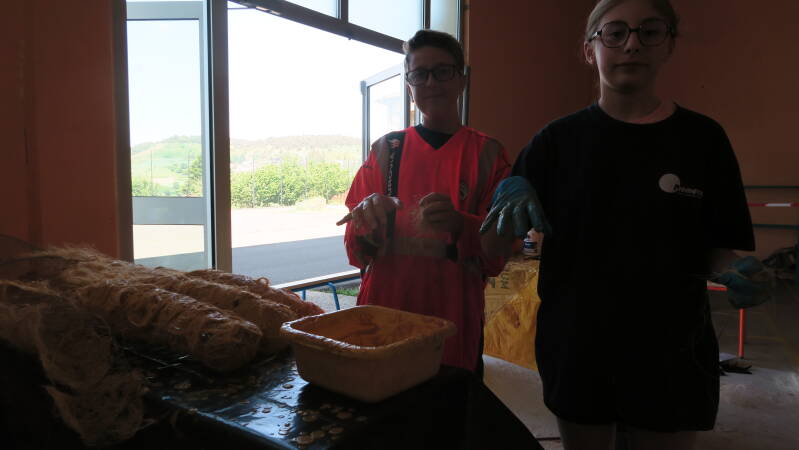 img_5387-standard.jpg