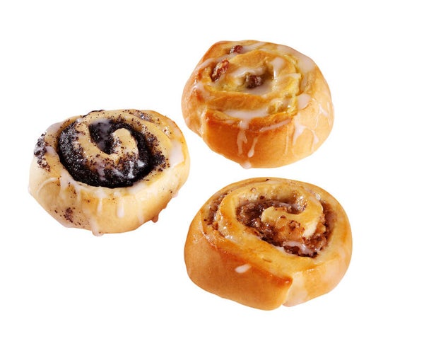 Mini-Schnecken-Mischbox, 3-fach sortiert