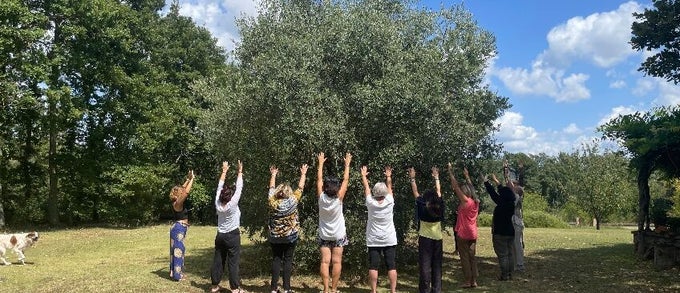 Trattamento energetico con gli alberi