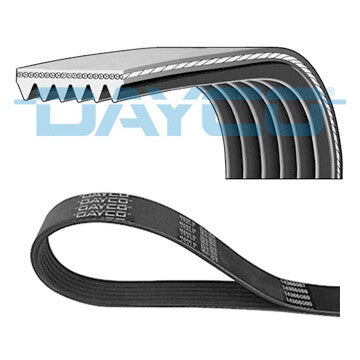V-Belt 1.75 - Dayco