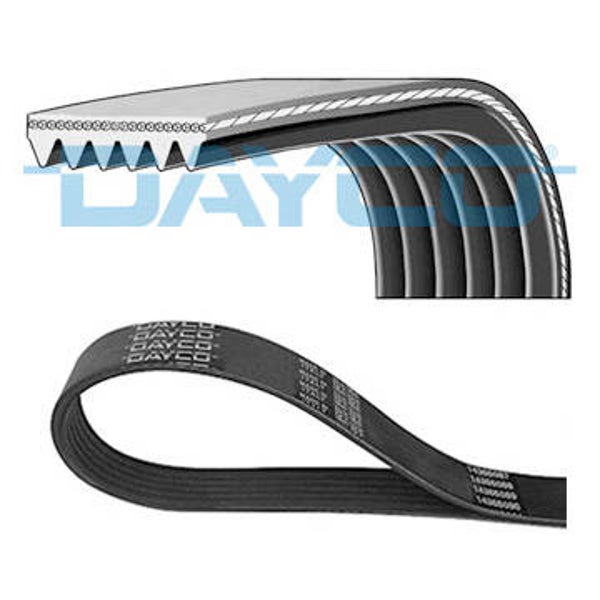 V-Belt 1.75 - Dayco