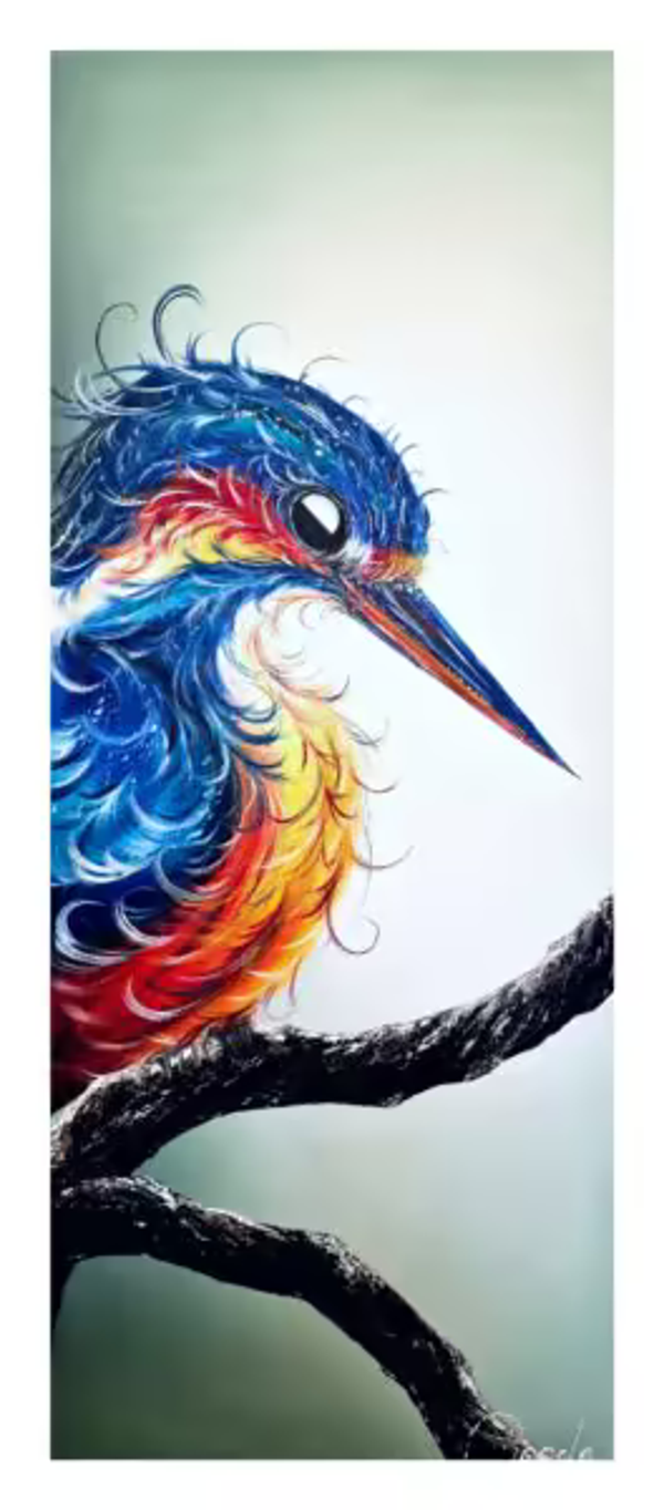 Ijsvogel Robbie