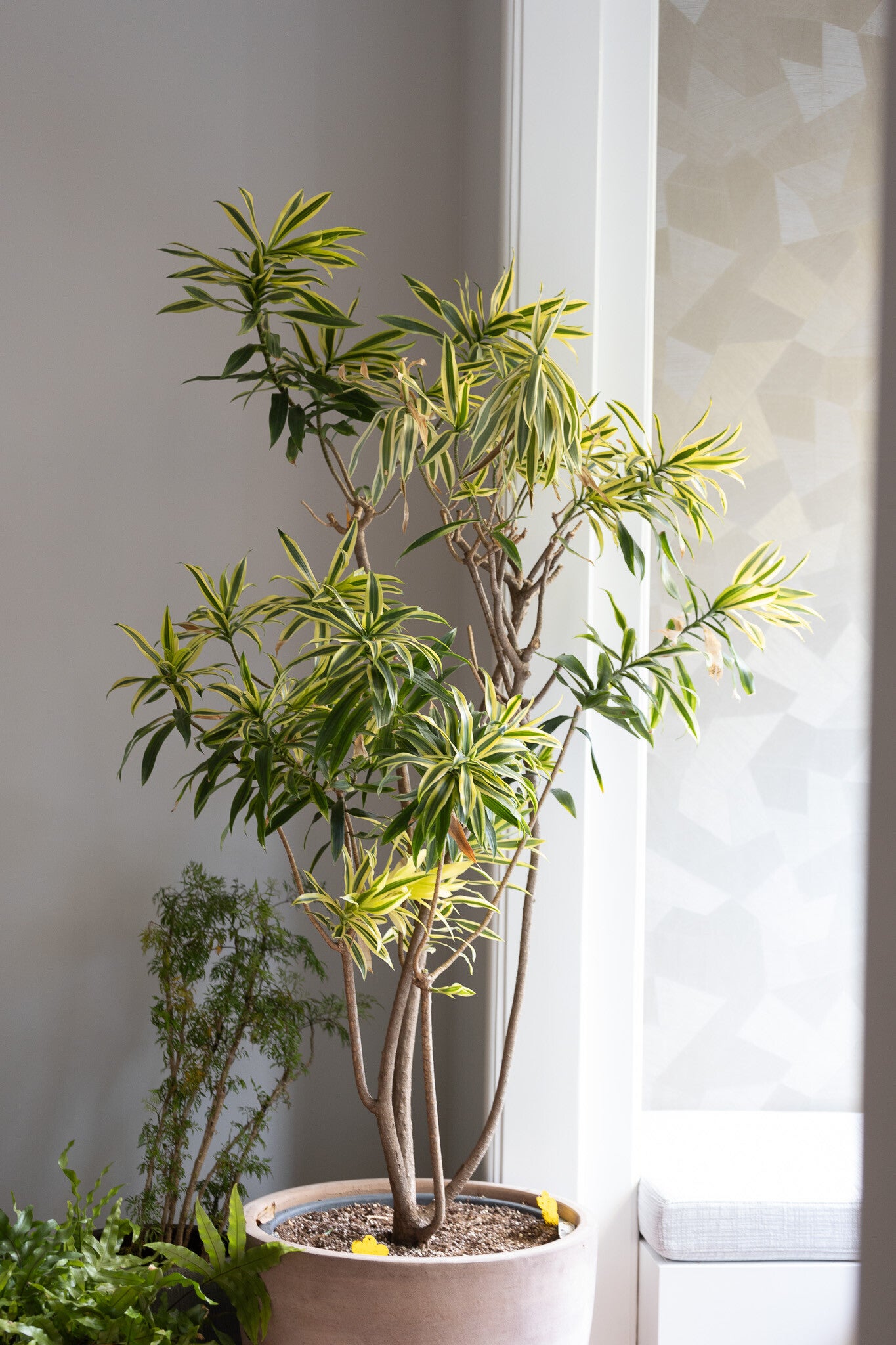 Interieurshoot - MEL Interiors x Living So Random!