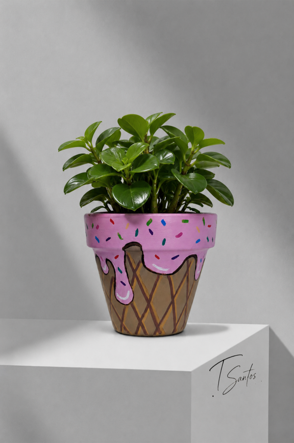 Masetas decorativas