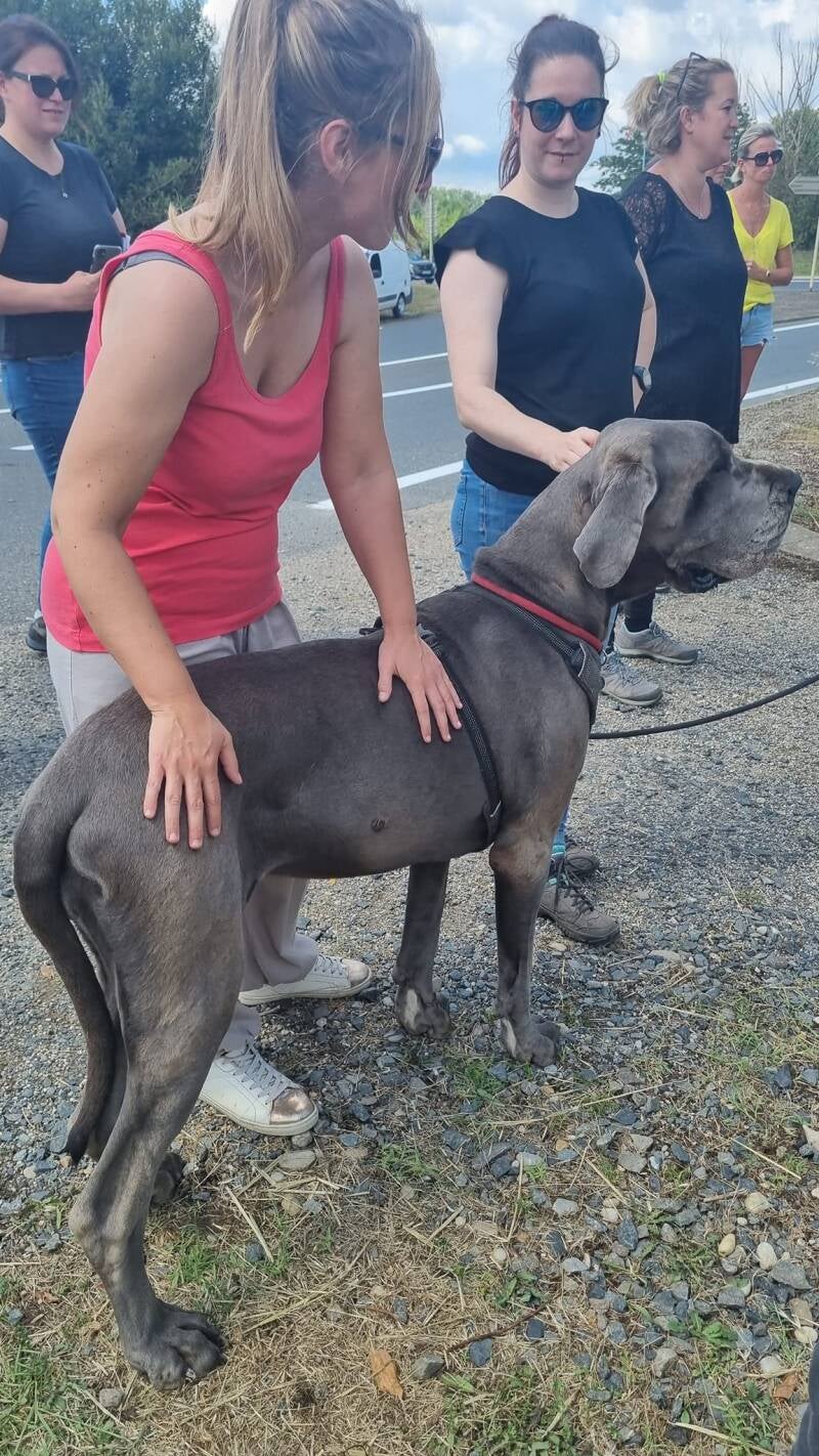 Stage Pratique - RCH (Jérémy Sérindat) - 2023.