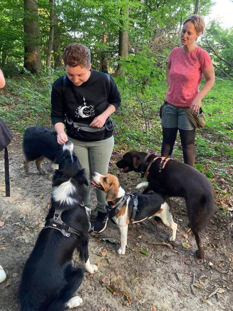 Balade canine avec mon ancienne stagiaire Précila de Inu'Neko.