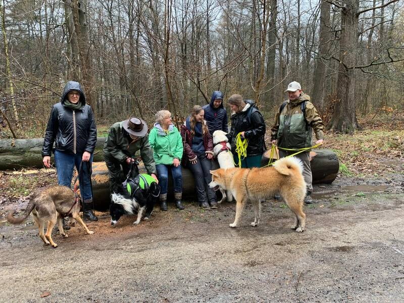 Photo de groupe lors d&#039;une balade canine pluvieuse.