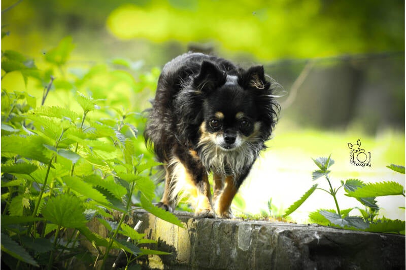 Instant capturé avec mon objectif !