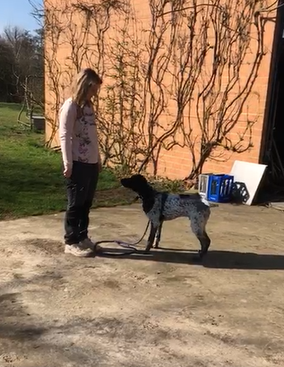 Séance d&#039;exercices avec Bacio :)