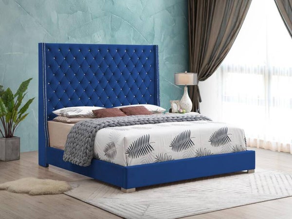 B01 Bed