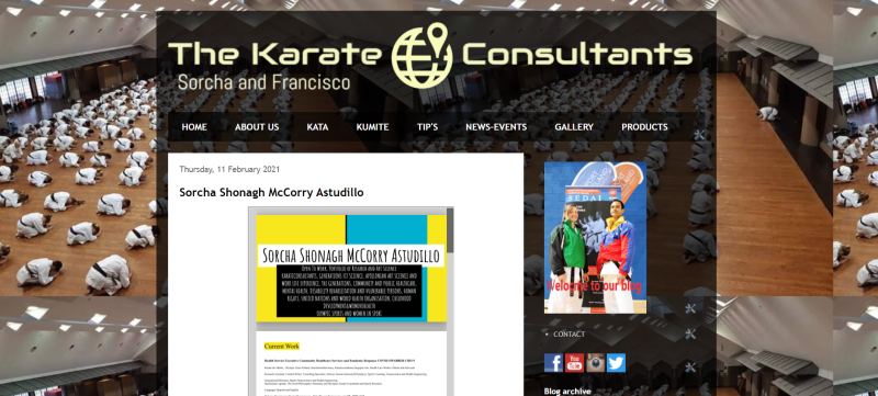 KARATE CONSULTANTS