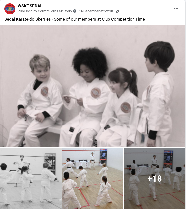 Karate Kids Skerries