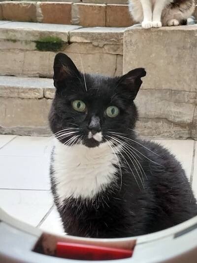 Esteban