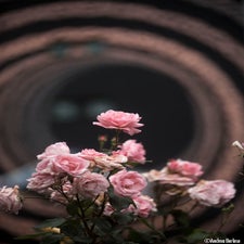 gsaf5_15-06_easy_wip_sd_00003-andreaberlese-standard-6hrzr2.jpg