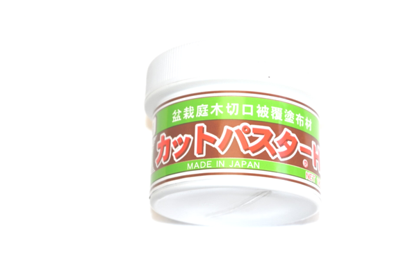 Wondpasta kneedbaar - Coniferen