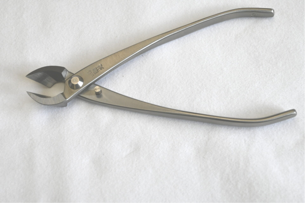 Concaaf tang 18 Cm Rvs