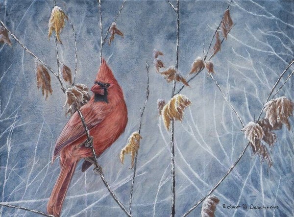 Cardinal rouge- Northern cardinal- (Cardinalis cardinalis)-Acrylique sur toile-Acrrylic on canvas de Robert M. Deschenes  peintre animalier