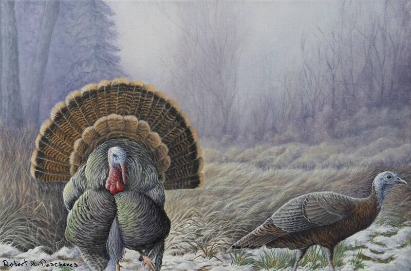 "Spring Display - Male Wild Turkey on Display and Female, acrylic on canvas, 12x18 inches, Robert M. Deschenes, hyperrealist naturalist animal painter"
