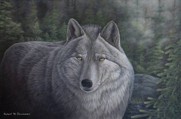 Loup Gris-Gray Wolf-(Canis Lupus)-acrylique sur toile-acrylic on canvas de Robert M. Deschenes peintre animalier