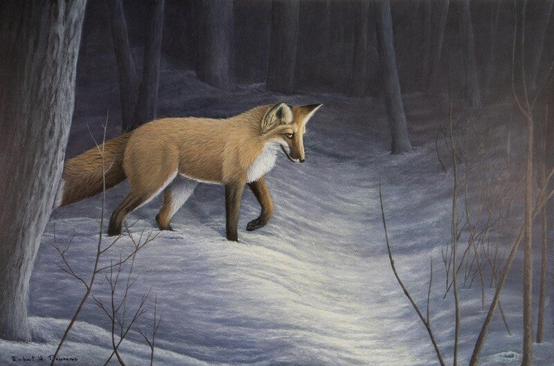 Renard Roux Hiver