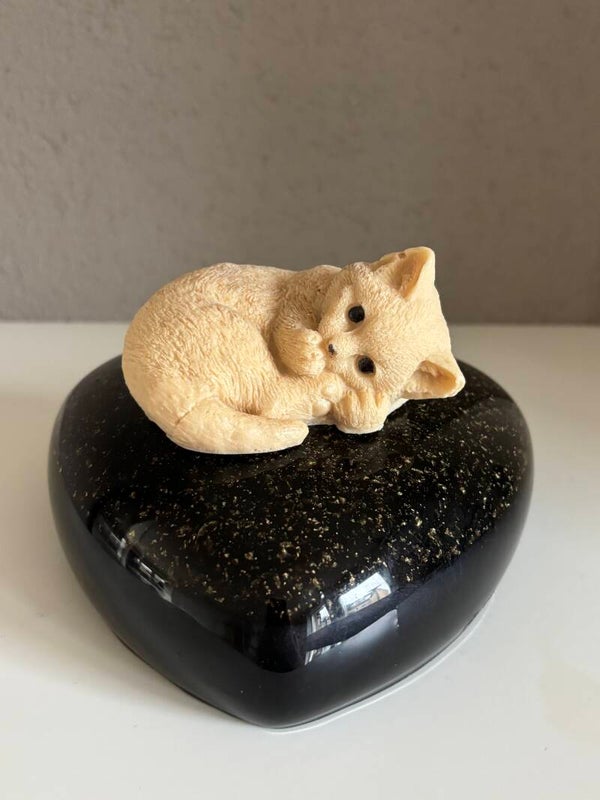 Ashart maat L in zwart/goud met poes