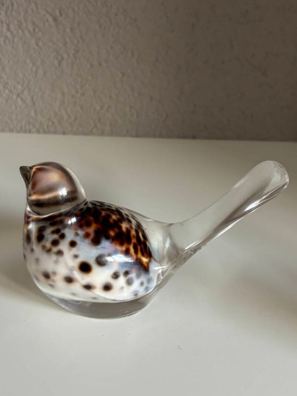 Decoratieve vogel in transparant/schelp