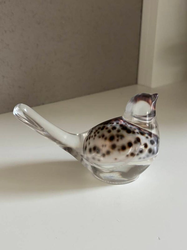 Decoratieve vogel in transparant met ingegoten schelp