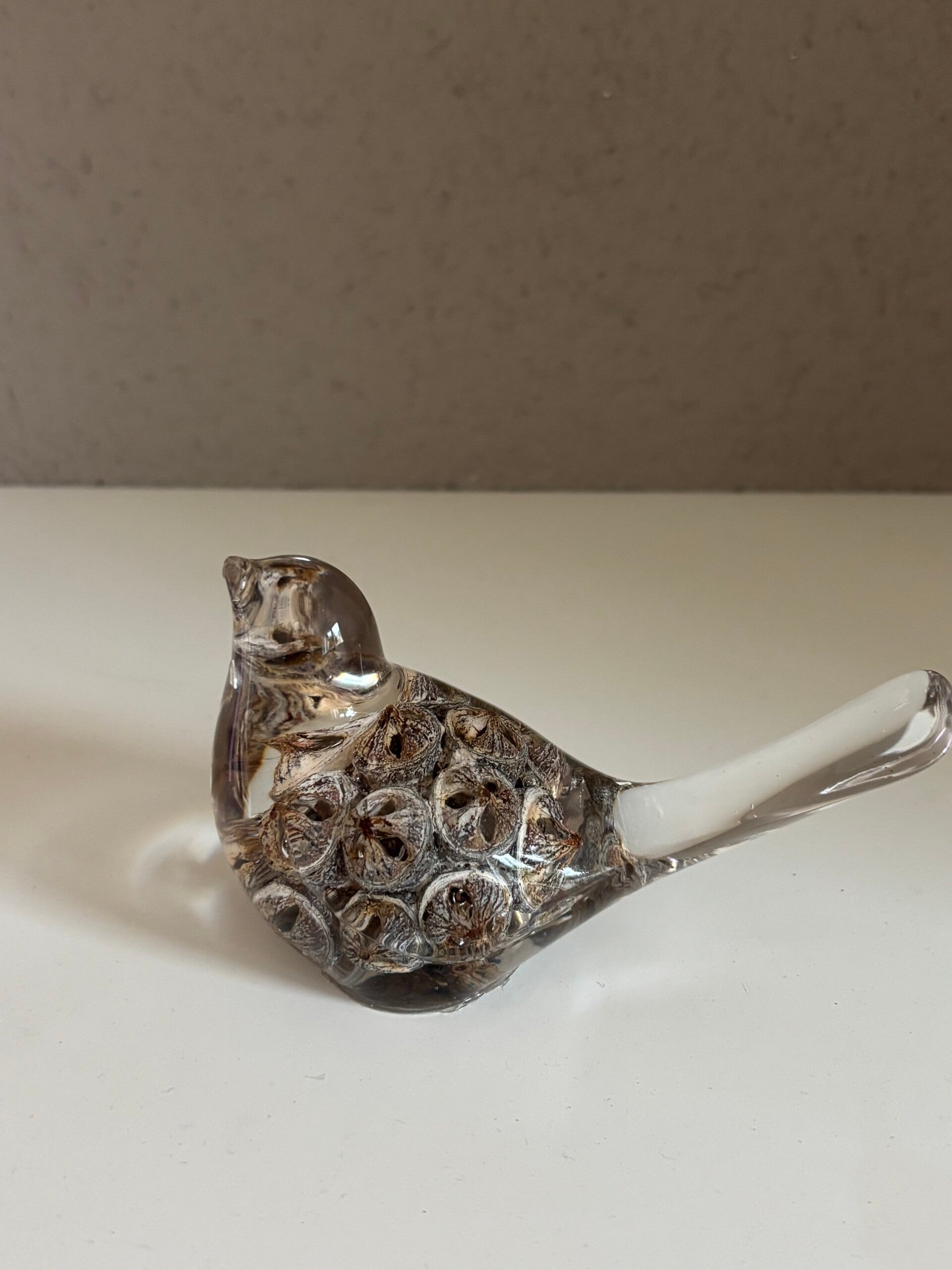 Decoratieve vogel in transparant met ingegoten gedroogde eucalyptus vrucht