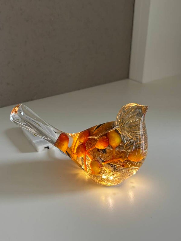 Decoratieve vogel in transparant met ingegoten herfst/kerst items en verlichting op batterijen