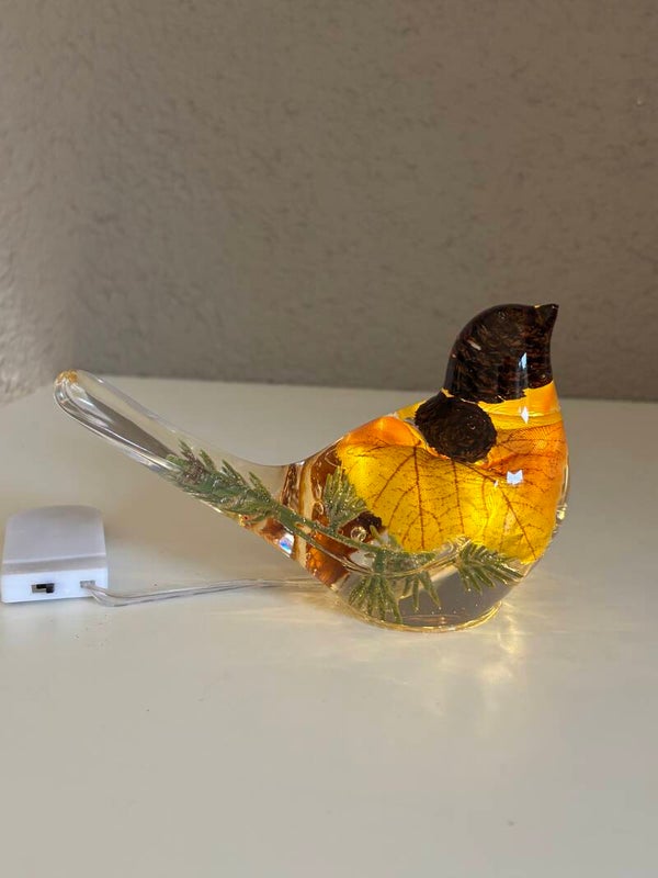 Decoratieve vogel in transparant met ingegoten herfst/kerst items en verlichting op batterijen