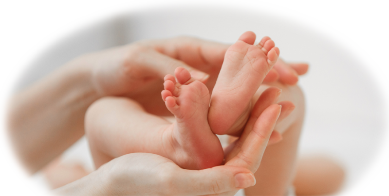 Tarieven Wineke ten Broeke