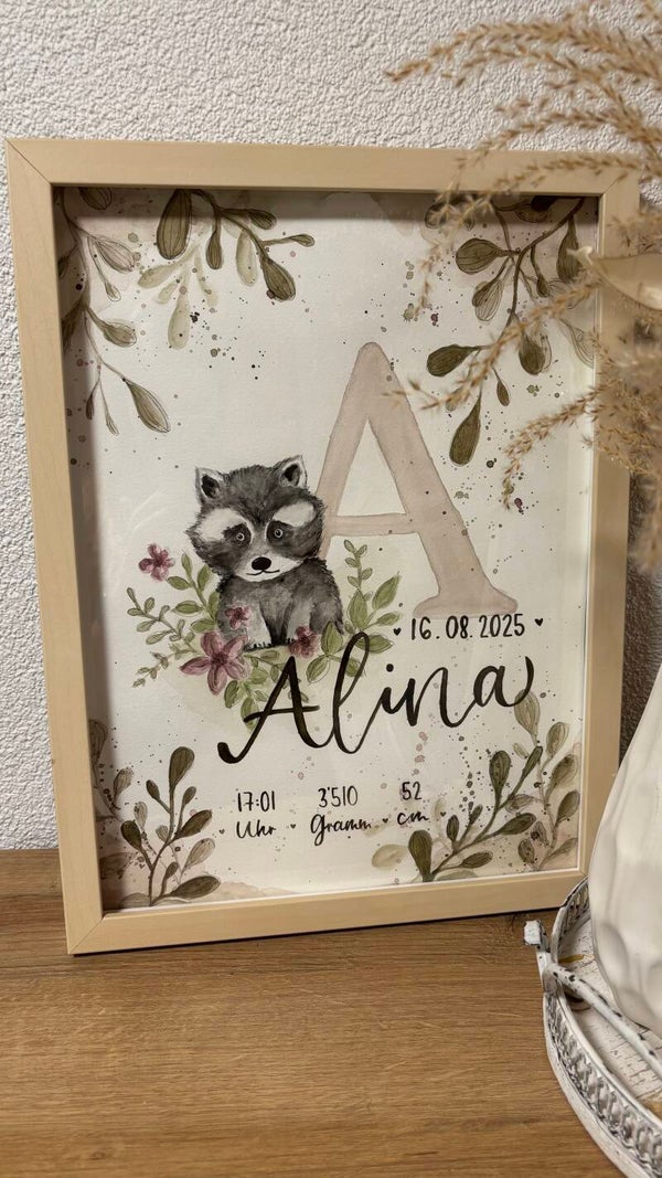 Baby Biud "Waschbär"